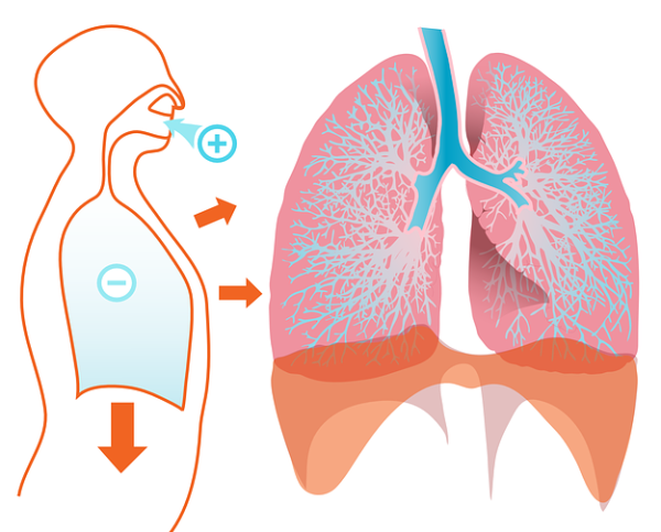 Collapsed Lung Blog Post